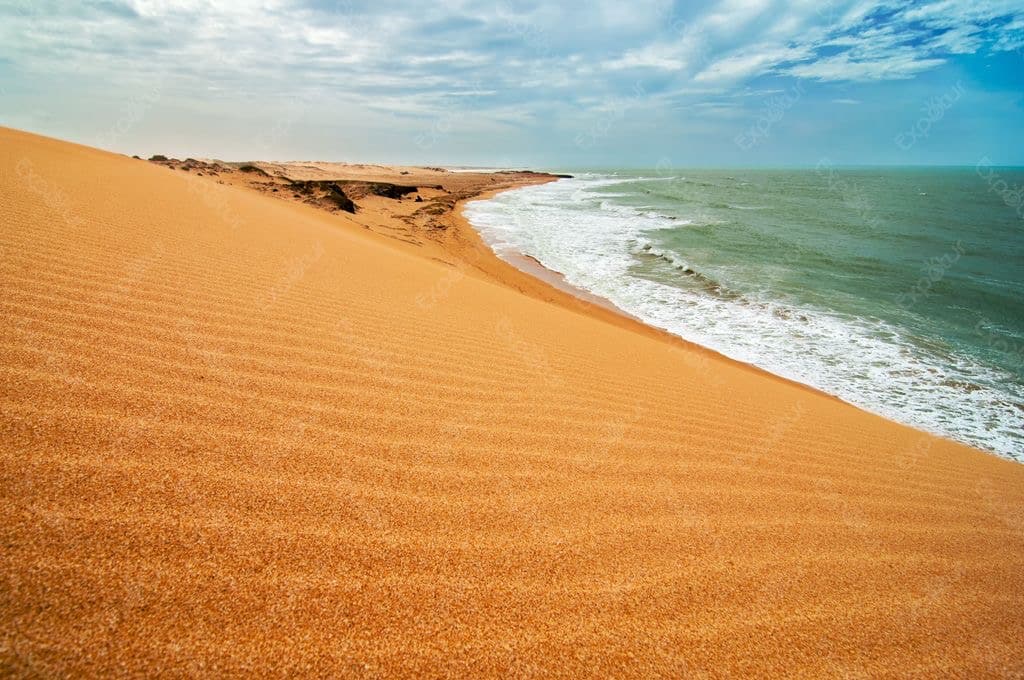 Guajira 